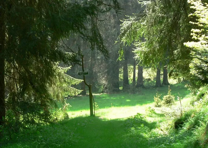 Tatil Evi Bad Hundertpfund Grossbreitenbach